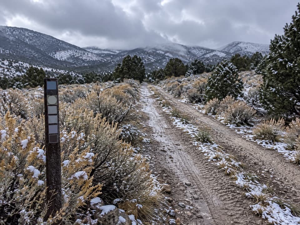 Weaver Creek Trail in Great Basin National Park
