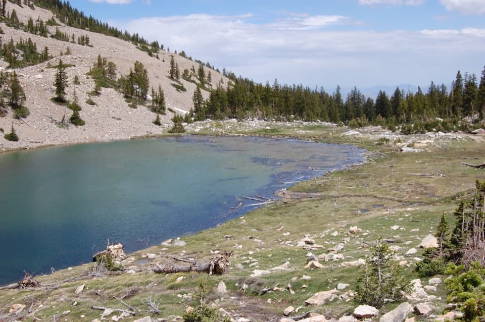 Johnson Lake Trail via Snake Creek in Great Basin National Park