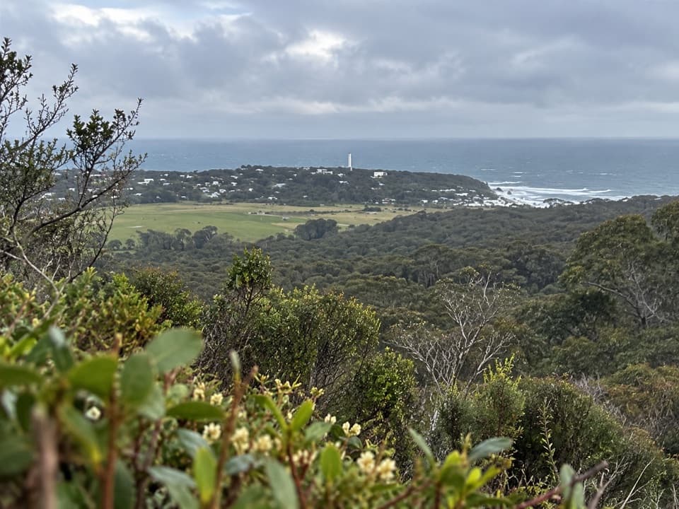 Loves Track in Great Ocean Road