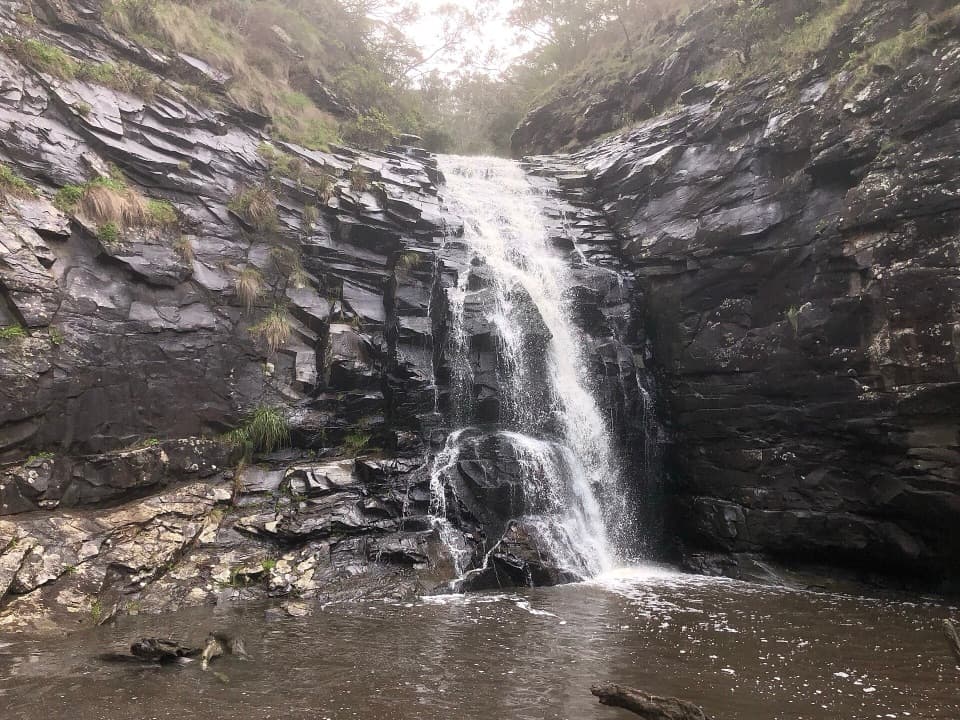Sheoak Falls and Swallow Cave Walk in Great Otway National Park