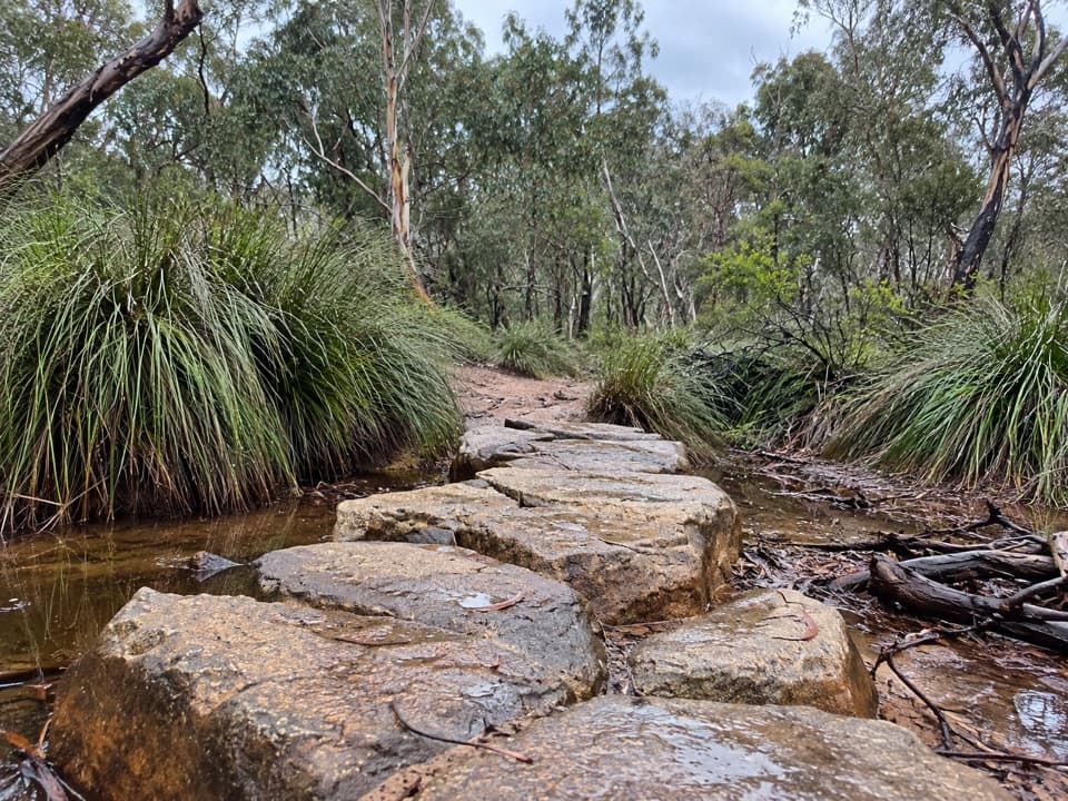 Harrison Track North in Great Ocean Road