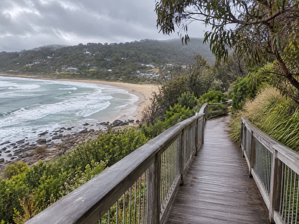 Paddy’s Path in Great Otway National Park