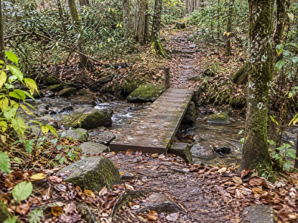 Bullhead View Quiet Walkway in Great Smoky Mountains National Park