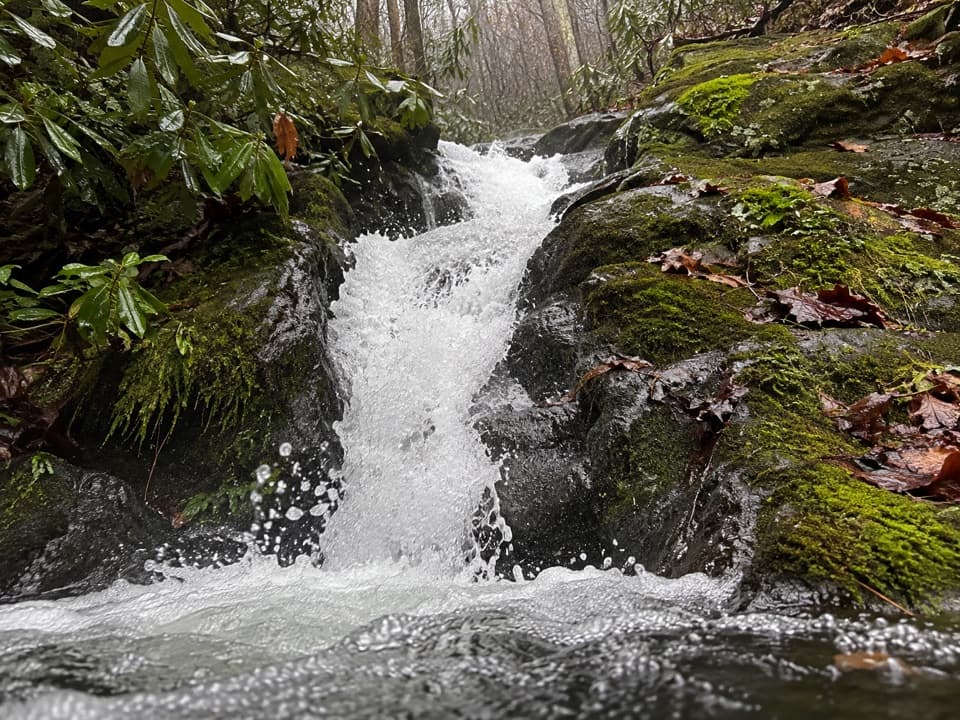 Rough Creek Trail in Great Smoky Mountains National Park
