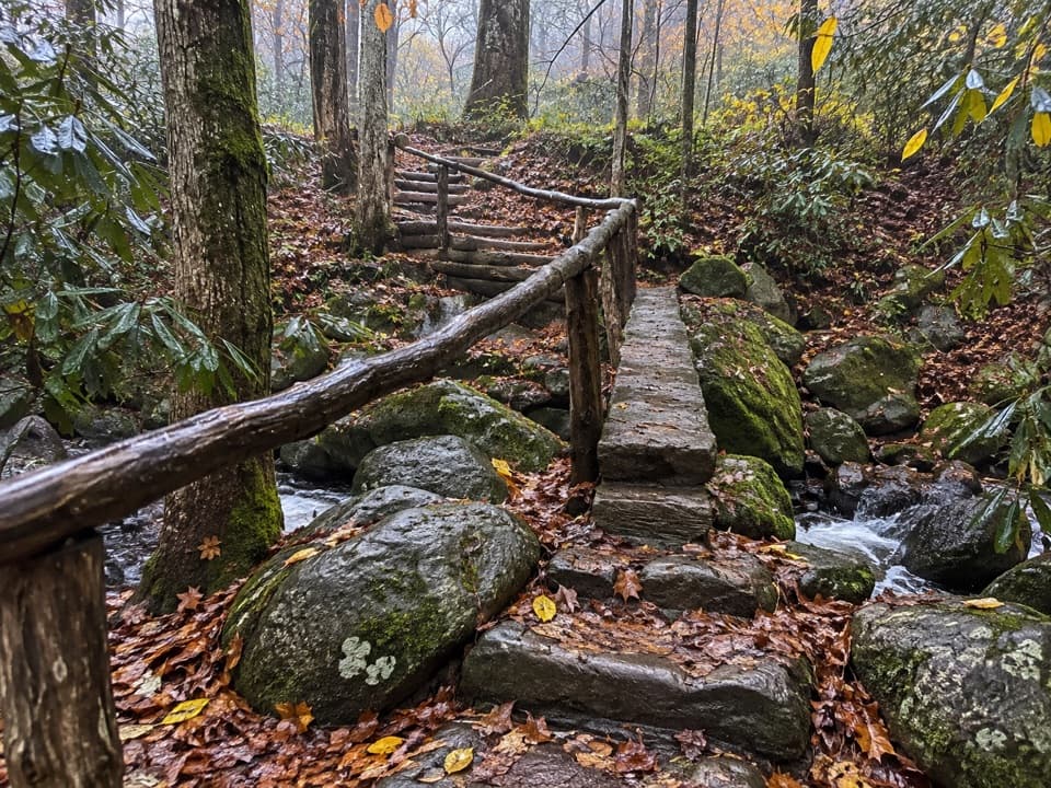 Grassy Branch Trail in Great Smoky Mountains National Park