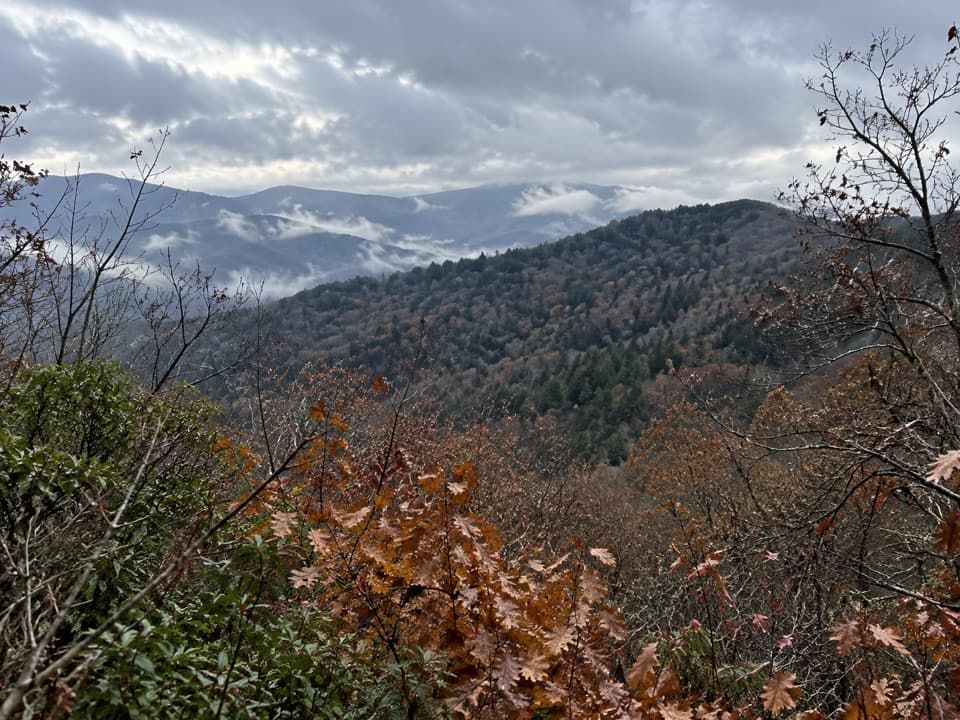 Sutton Ridge Overlook Trail in Great Smoky Mountains National Park