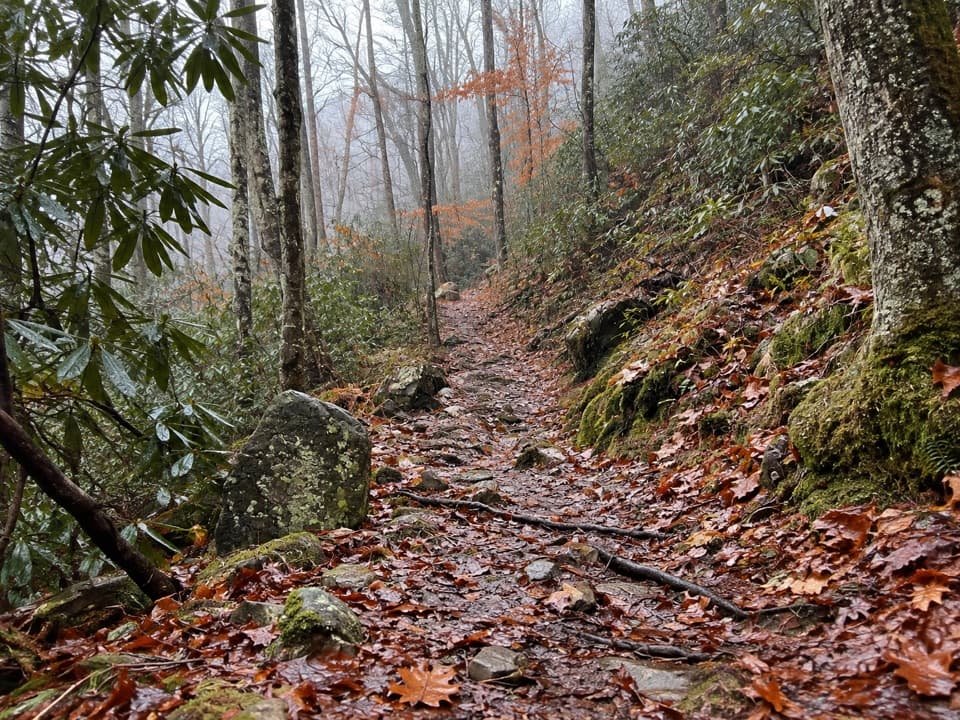 Tow String Horse Trail in Great Smoky Mountains National Park