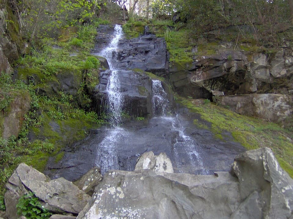 Gabes Mountain Trail to Hen Wallow Falls in Great Smoky Mountains National Park