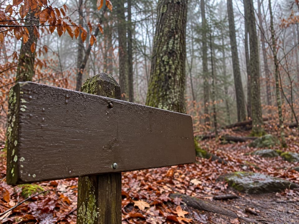 Turkeypen Ridge Trail in Great Smoky Mountains National Park
