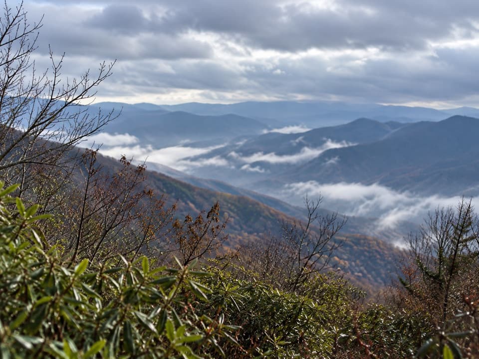 Jenkins Ridge Trail in Great Smoky Mountains National Park
