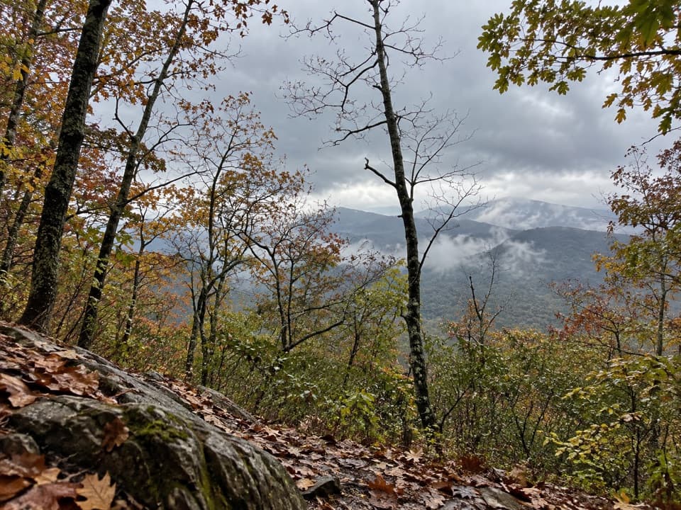 Rich Mountain Trail in Great Smoky Mountains National Park