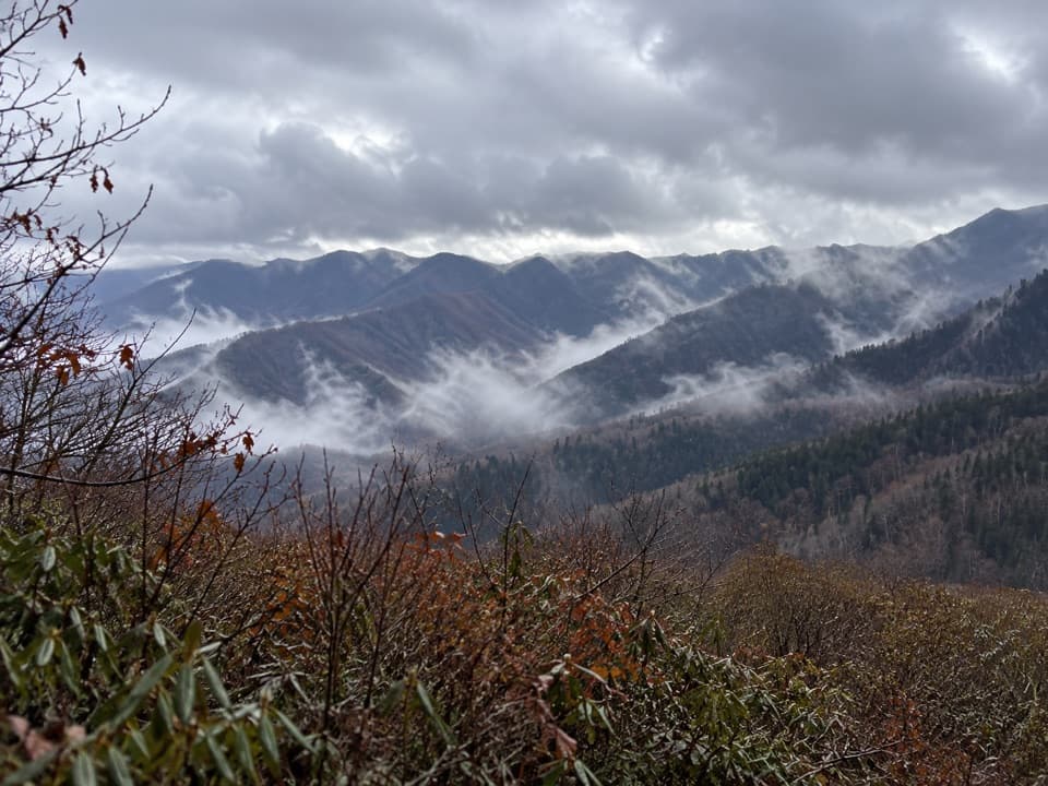 Brushy Mountain Trail from Greenbrier in Great Smoky Mountains National Park