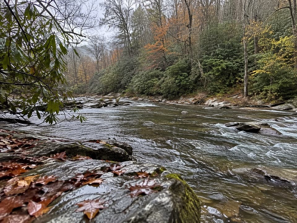 Hannah Mountain Trail in Great Smoky Mountains National Park