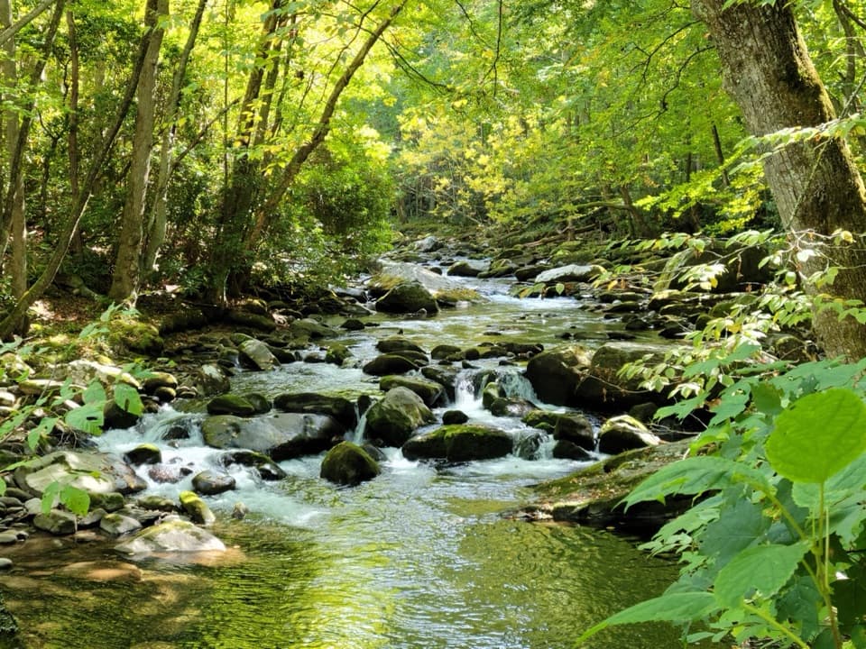Little River, Cucumber Gap, Jakes Creek Loop in Great Smoky Mountains National Park