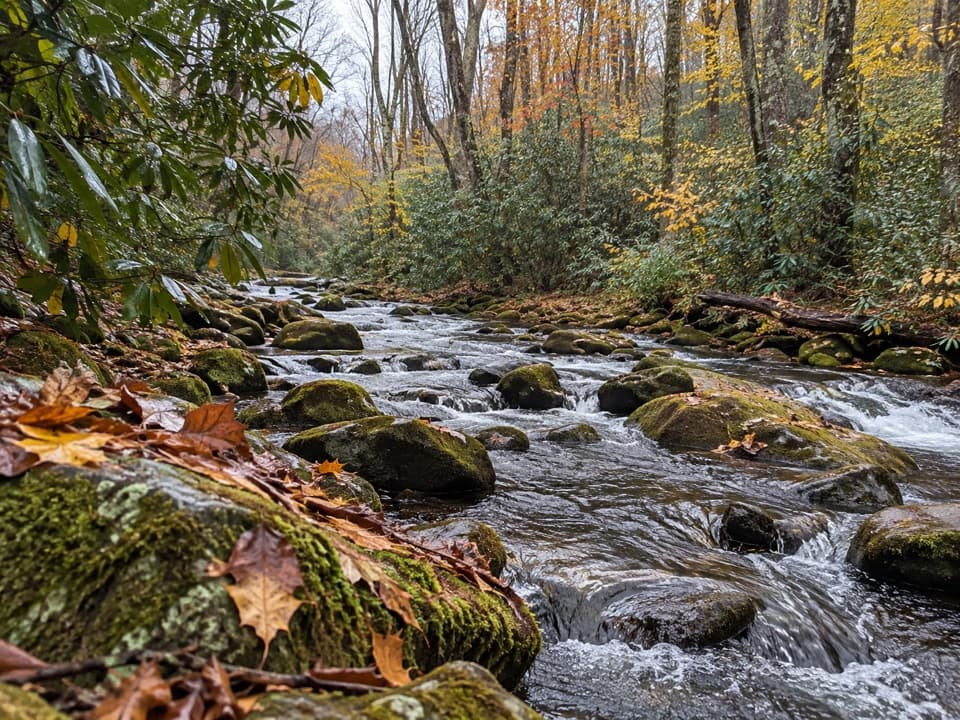 Springhouse Branch Trail in Great Smoky Mountains National Park
