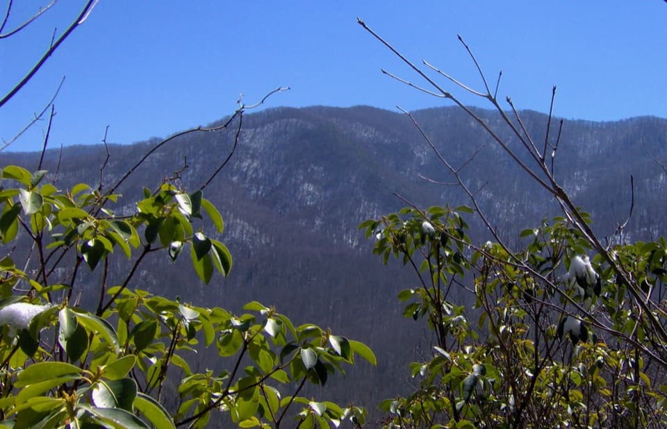 Curry Mountain Trail in Great Smoky Mountains National Park