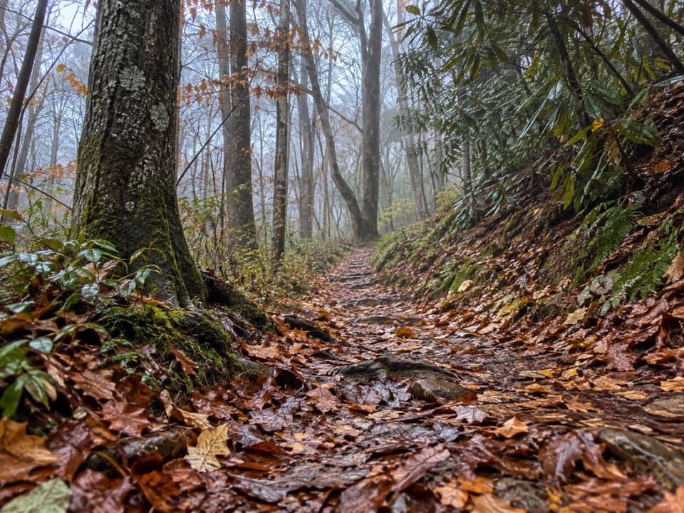 Laurel Falls Quiet Walkway in Great Smoky Mountains National Park