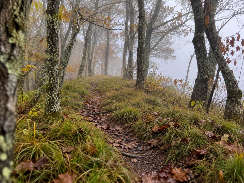 Hemphill Bald Trail in Great Smoky Mountains National Park