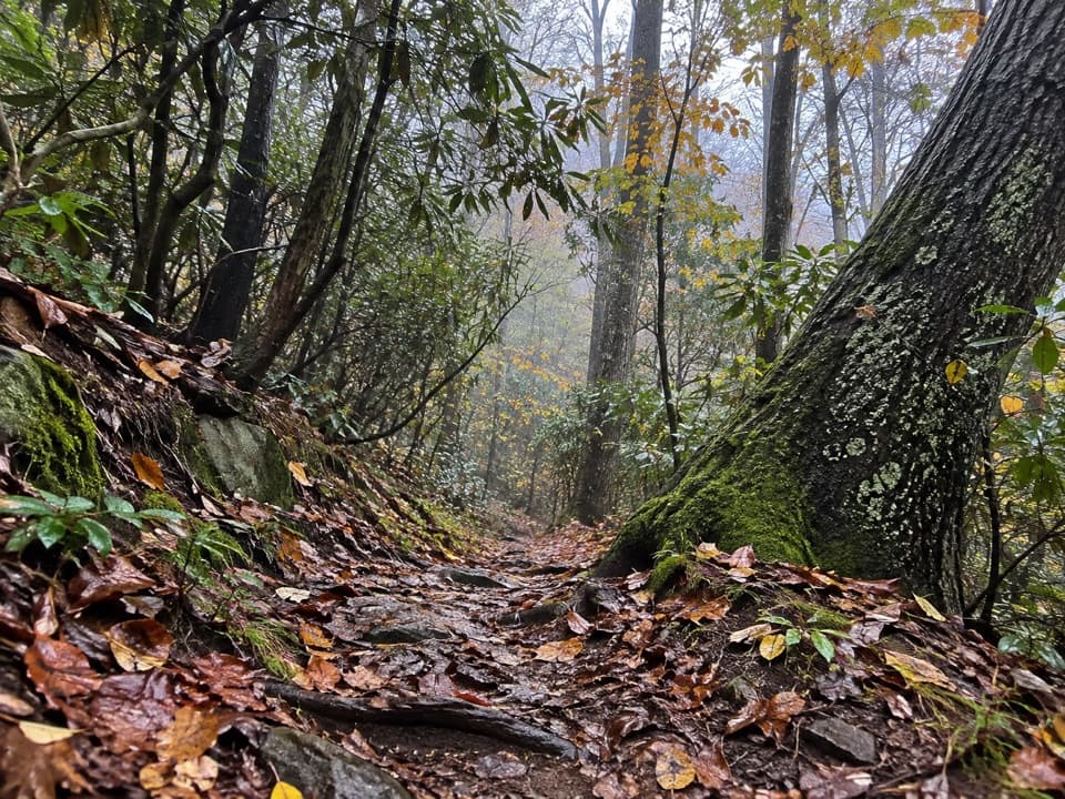 McKee Branch Trail in Great Smoky Mountains National Park