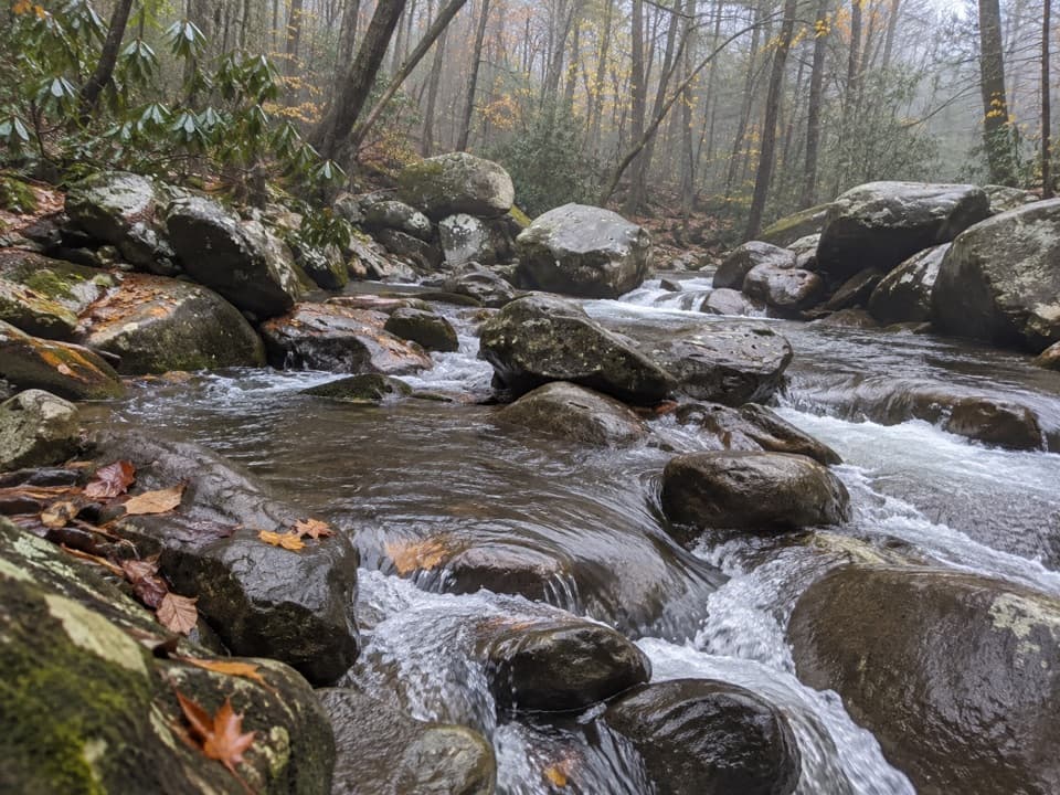 Balsam Point Quiet Walkway in Great Smoky Mountains National Park
