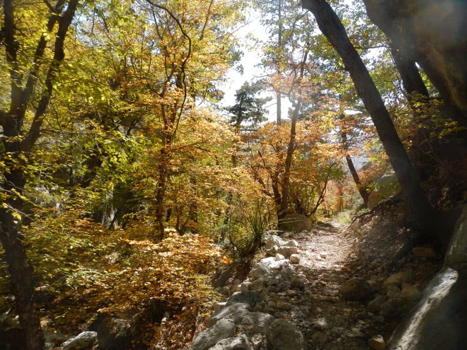 Bear Canyon–Juniper–Tejas Loop in Guadalupe Mountains National Park