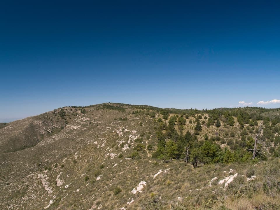 Bush Mountain–Blue Ridge–Marcus Loop in Guadalupe Mountains National Park