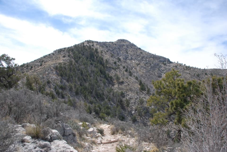 Guadalupe Ridge Trail in Guadalupe Mountains National Park
