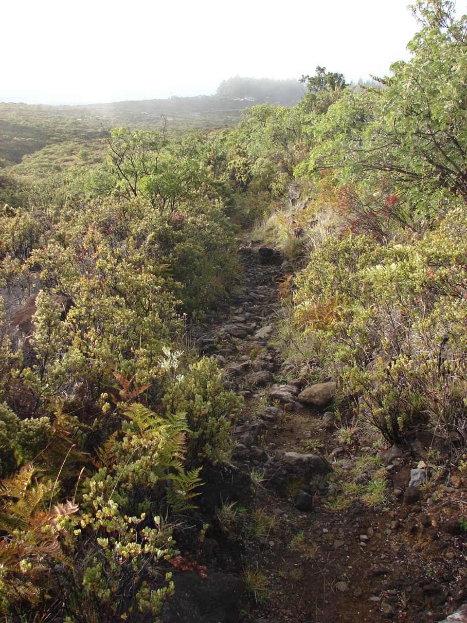 Supply Trail in Haleakalā National Park