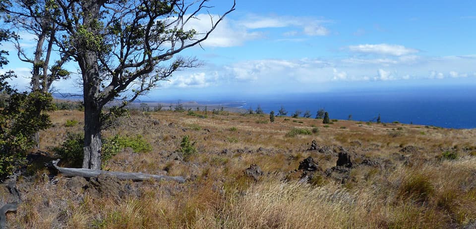 Kaʻū Desert Trail to Pepeiao in Hawaiʻi Volcanoes National Park