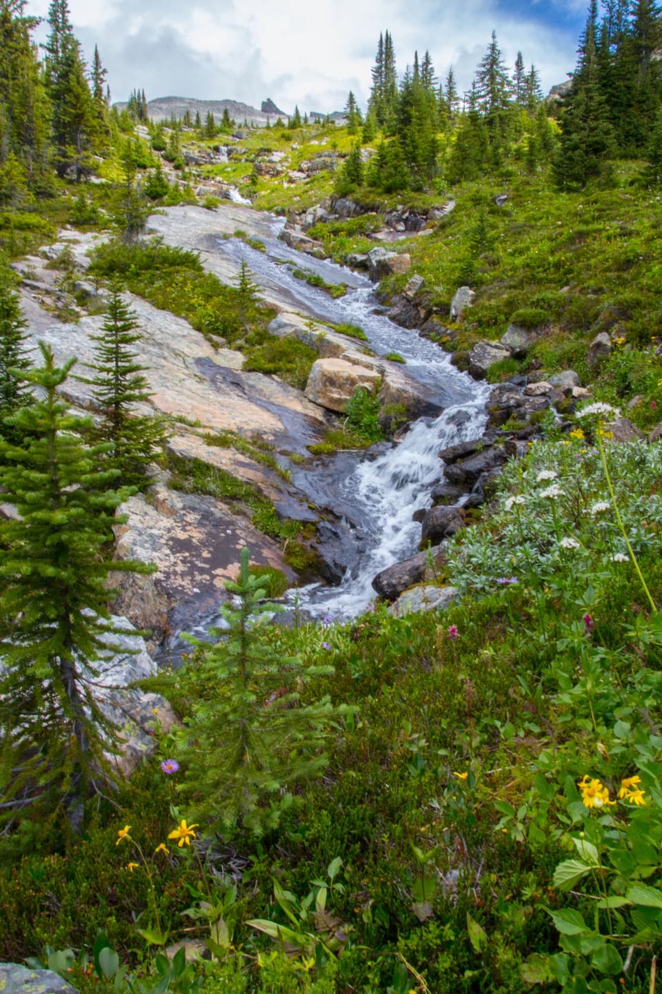 Fish Lakes Trail via North Molar Pass in Banff National Park