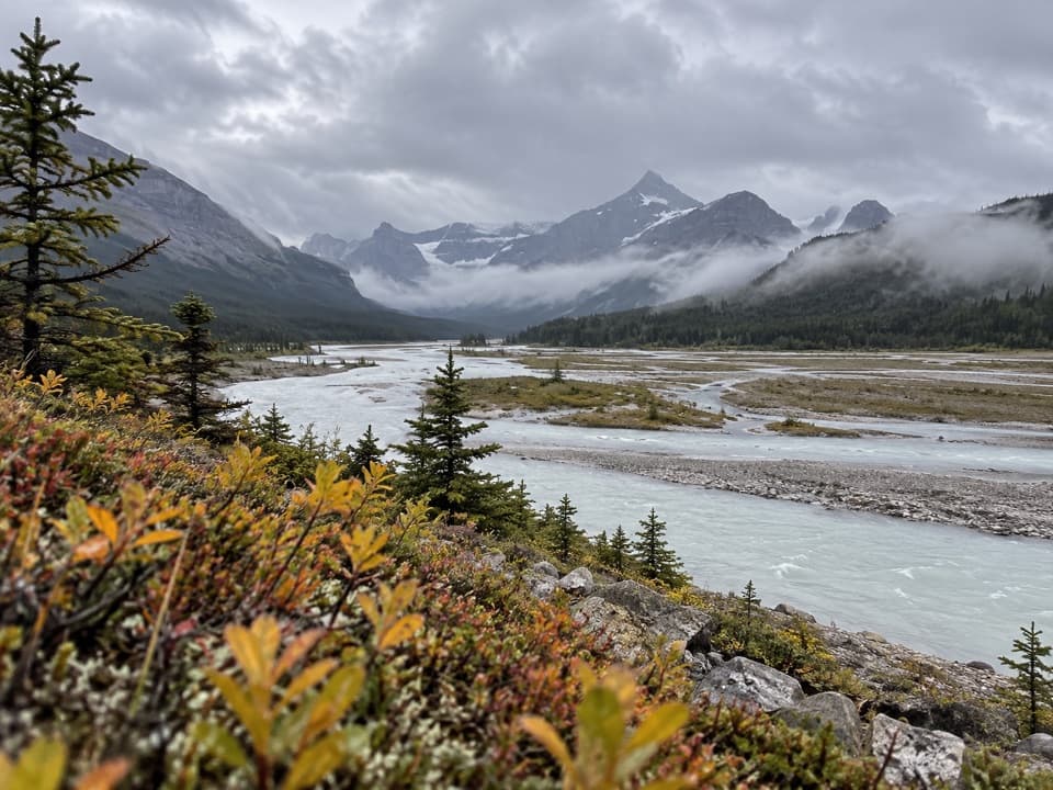 Howse Pass Trail in Icefields Parkway (Highway 93)