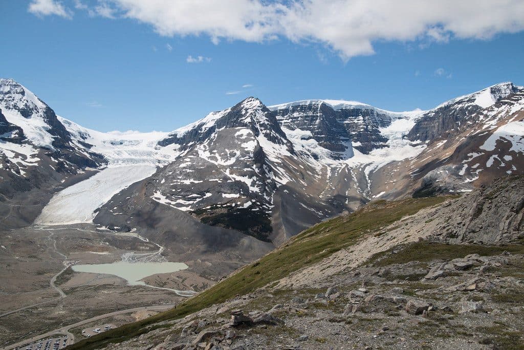 Wilcox Pass Trail in Jasper National Park