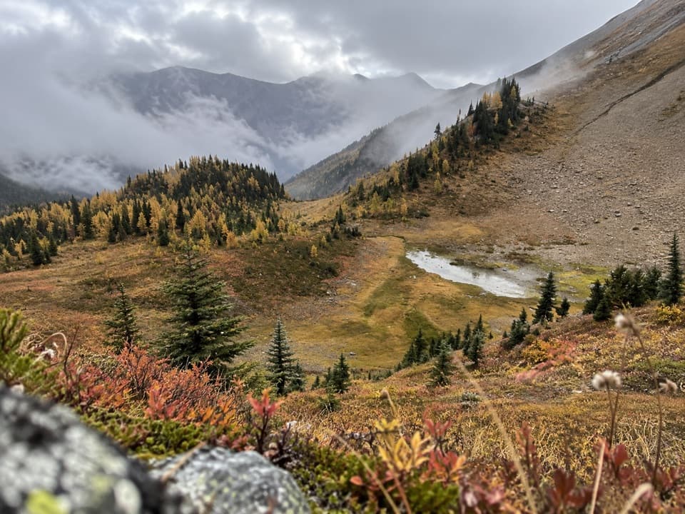 Kindersley-Sinclair Loop in Kootenay National Park