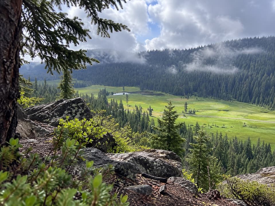 Spencer Meadow National Recreation Trail in Lassen Volcanic National Park