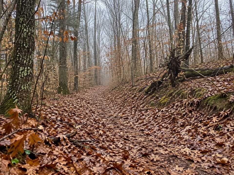 White Oak Trail in Mammoth Cave National Park
