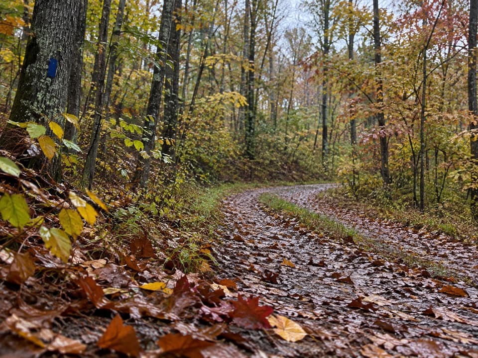 Collie Ridge Trail in Mammoth Cave National Park