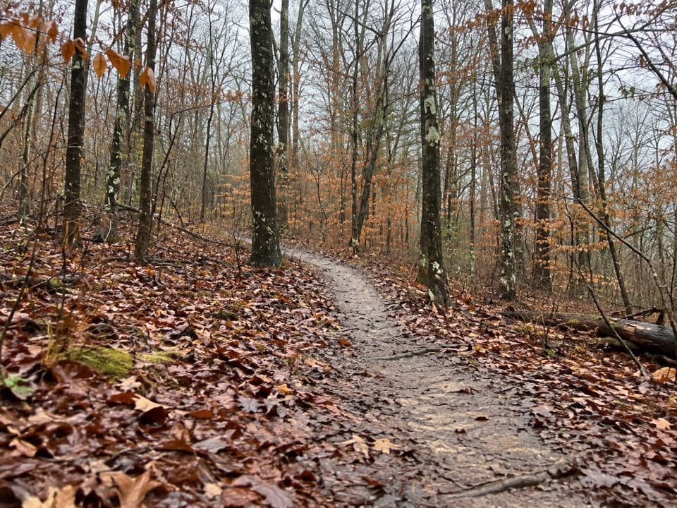 Big Hollow Trail South Loop in Mammoth Cave National Park