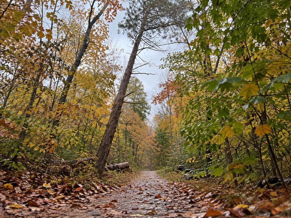 Big Hollow Trail North Loop in Mammoth Cave National Park