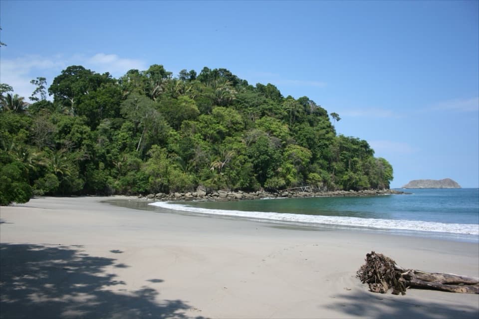 Sendero Playa Espadilla Sur in Manuel Antonio National Park