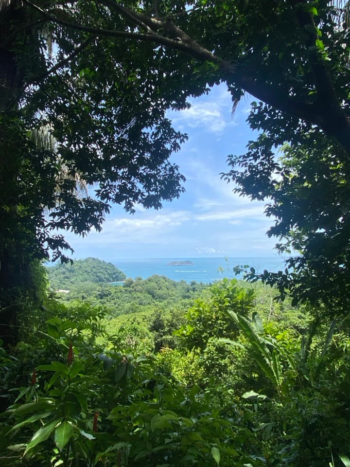 Sendero Mirador in Manuel Antonio National Park