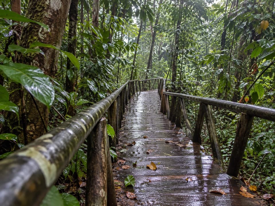 Sendero El Perezoso in Manuel Antonio National Park