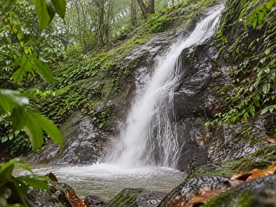 La Catarata Trail in Manuel Antonio National Park