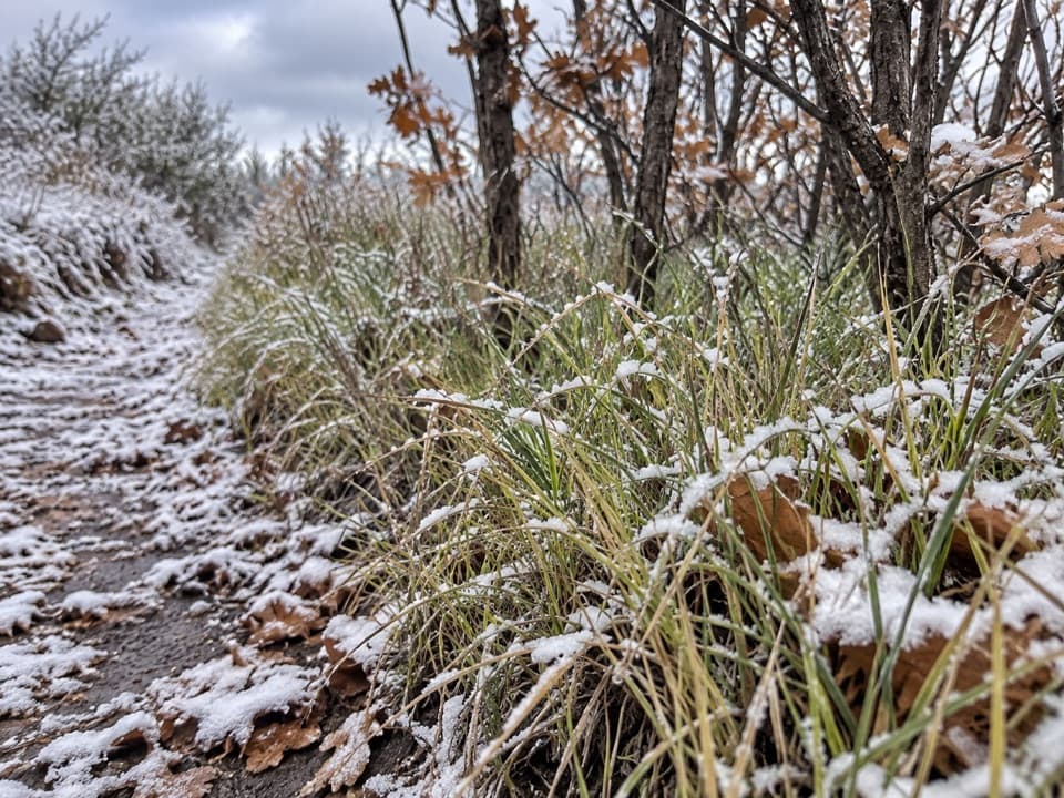 Prater Ridge North Loop Trail in Mesa Verde National Park