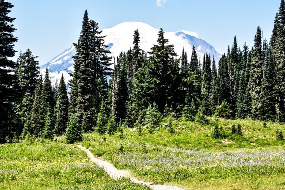 Tipsoo Lake Loop Trail in Mount Rainier National Park