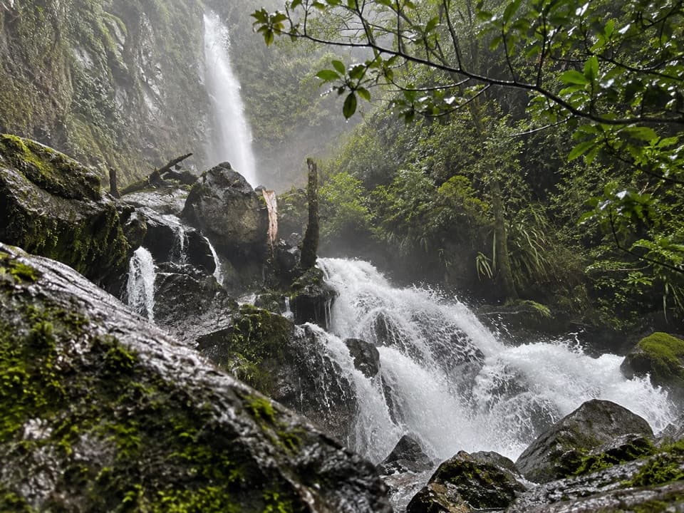 Whisky Falls via Lakeside Track in Nelson Lakes National Park
