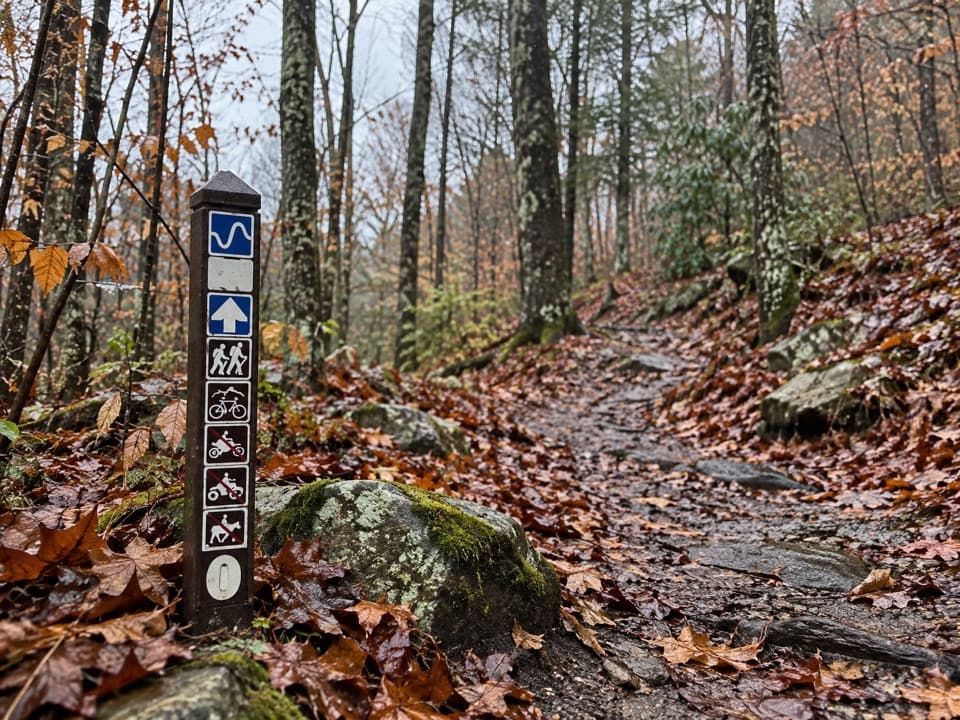 LeCroy Trail in New River Gorge National Park