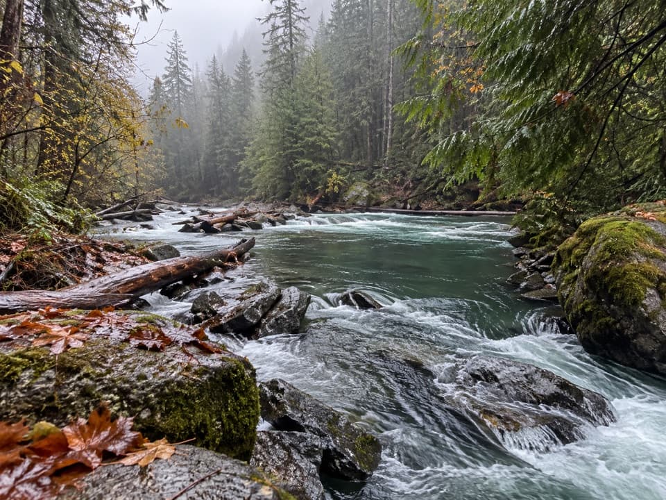 Staircase Rapids Loop Trail in Olympic National Park