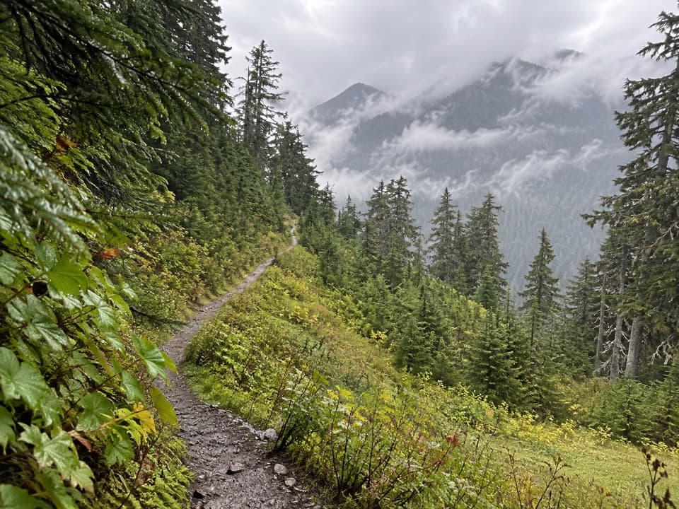 Six Ridge Primitive Trail in Olympic National Park