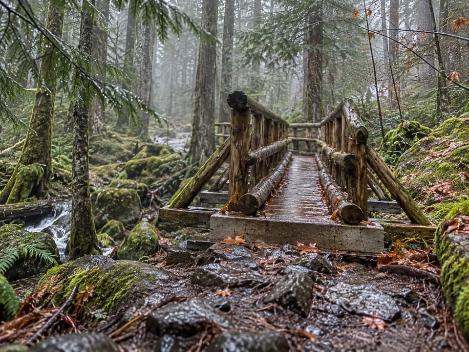 Upper Lena Lake Trail in Olympic National Park