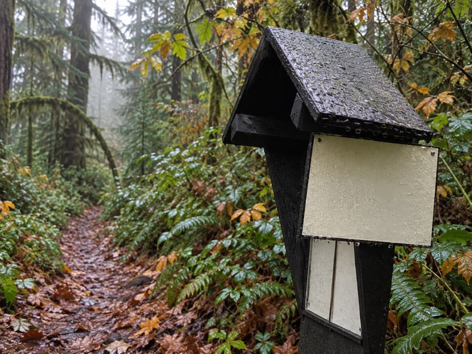 Smokey Hill Trail in Olympic National Park